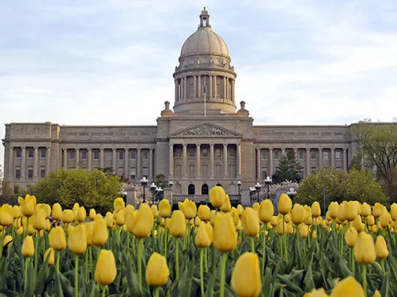 The state of Kentucky Capitol building with yellow tulips in front of it