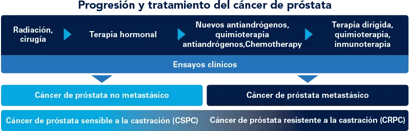 Infographic in Spanish about prostate cancer progression
